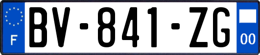 BV-841-ZG