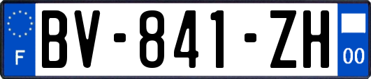 BV-841-ZH