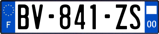 BV-841-ZS