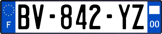 BV-842-YZ