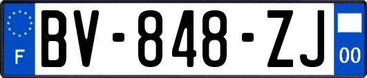 BV-848-ZJ