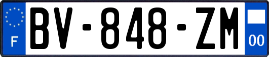 BV-848-ZM