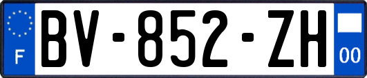 BV-852-ZH