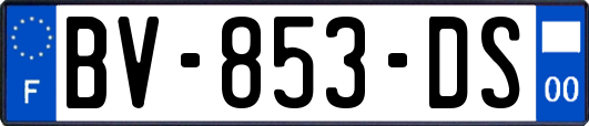 BV-853-DS