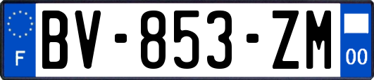 BV-853-ZM