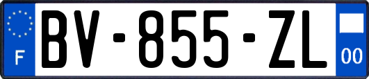 BV-855-ZL