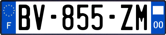 BV-855-ZM