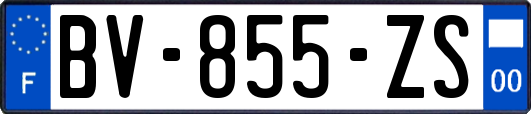 BV-855-ZS