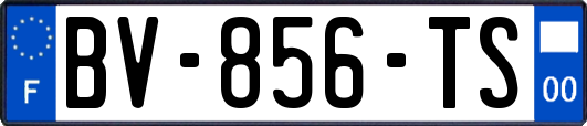 BV-856-TS