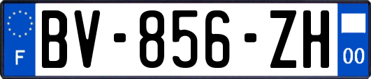 BV-856-ZH