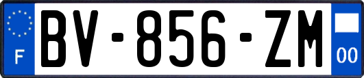 BV-856-ZM