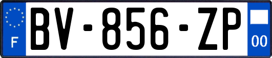 BV-856-ZP