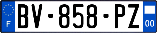 BV-858-PZ