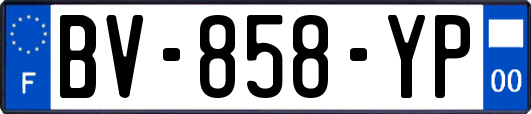 BV-858-YP