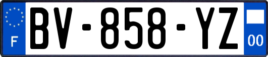 BV-858-YZ