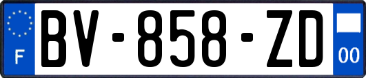 BV-858-ZD