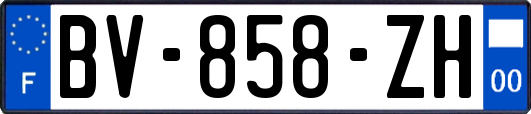 BV-858-ZH