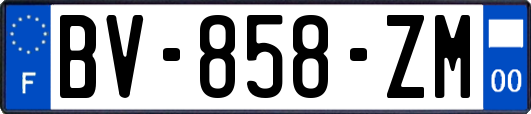 BV-858-ZM