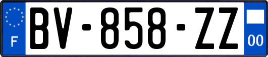 BV-858-ZZ