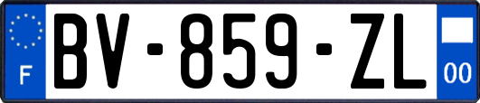 BV-859-ZL