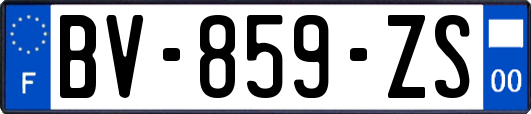 BV-859-ZS