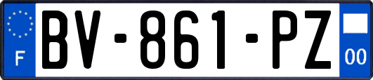 BV-861-PZ