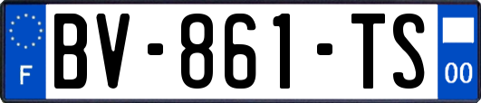 BV-861-TS