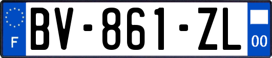 BV-861-ZL