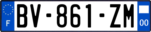 BV-861-ZM