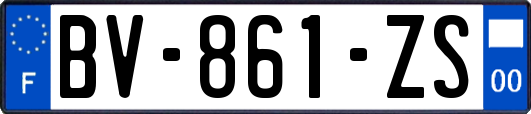 BV-861-ZS