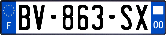 BV-863-SX