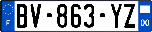 BV-863-YZ