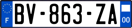 BV-863-ZA