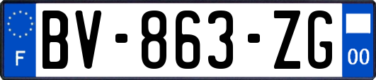 BV-863-ZG