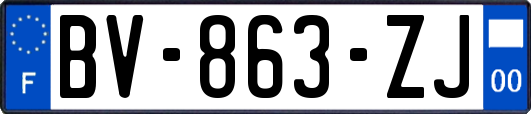 BV-863-ZJ