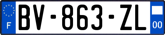 BV-863-ZL