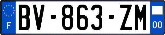 BV-863-ZM