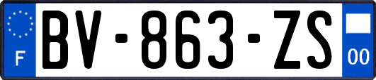 BV-863-ZS