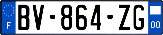 BV-864-ZG