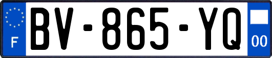 BV-865-YQ