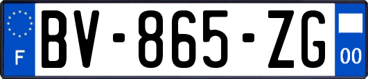 BV-865-ZG