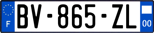 BV-865-ZL