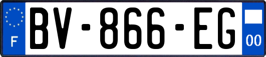 BV-866-EG