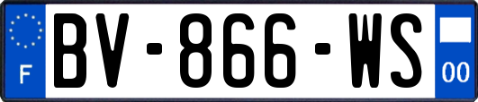 BV-866-WS