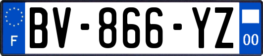 BV-866-YZ