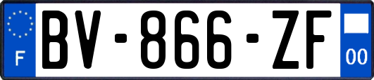 BV-866-ZF