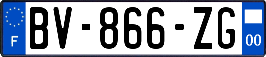 BV-866-ZG