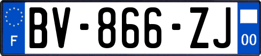 BV-866-ZJ