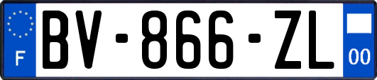 BV-866-ZL