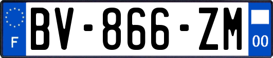 BV-866-ZM